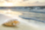 The sunset on the beach. .jpg