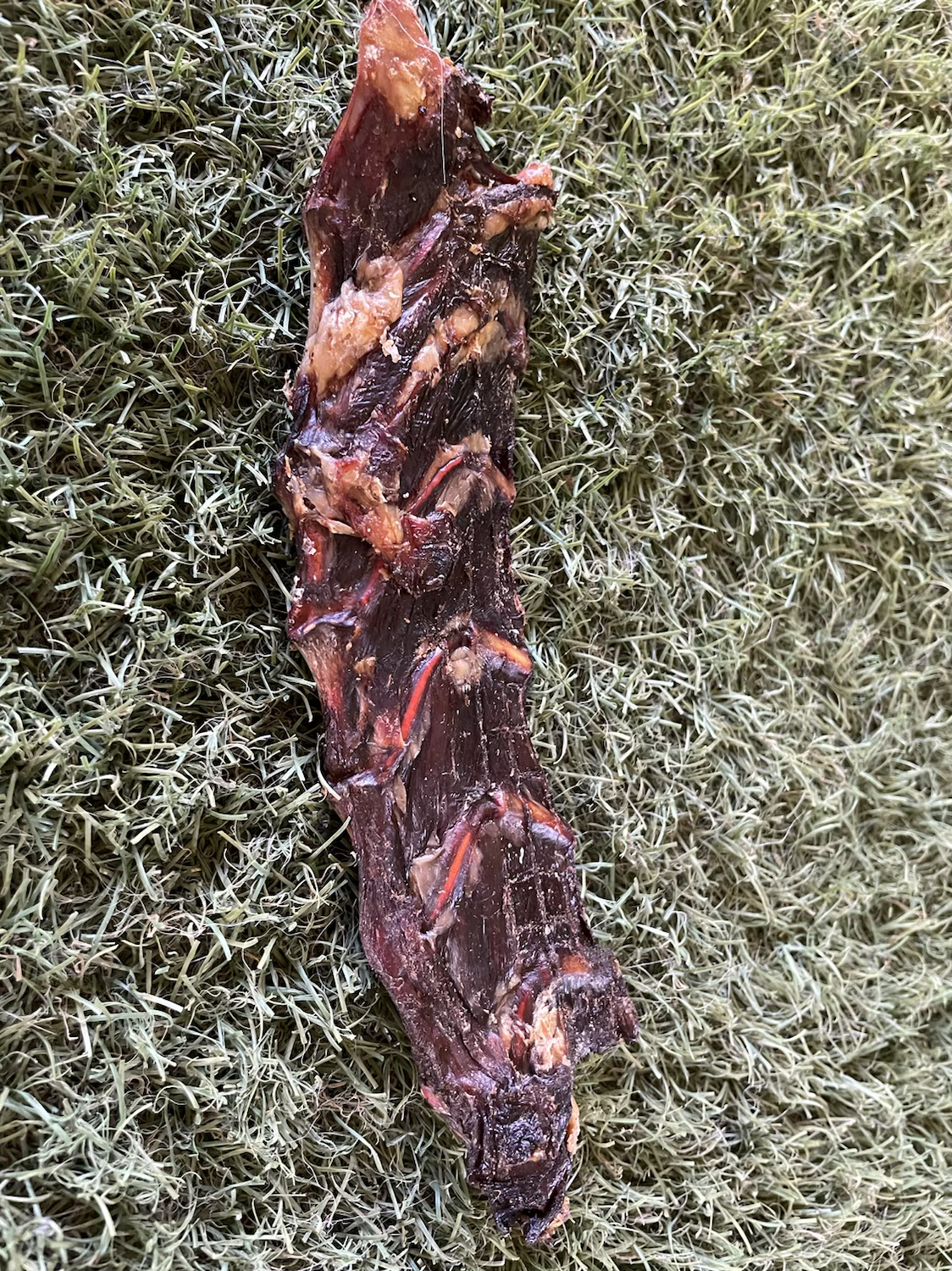 Kangaroo Brisket 