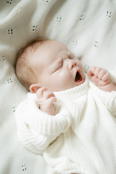 newborn photography with siblings San Antonio