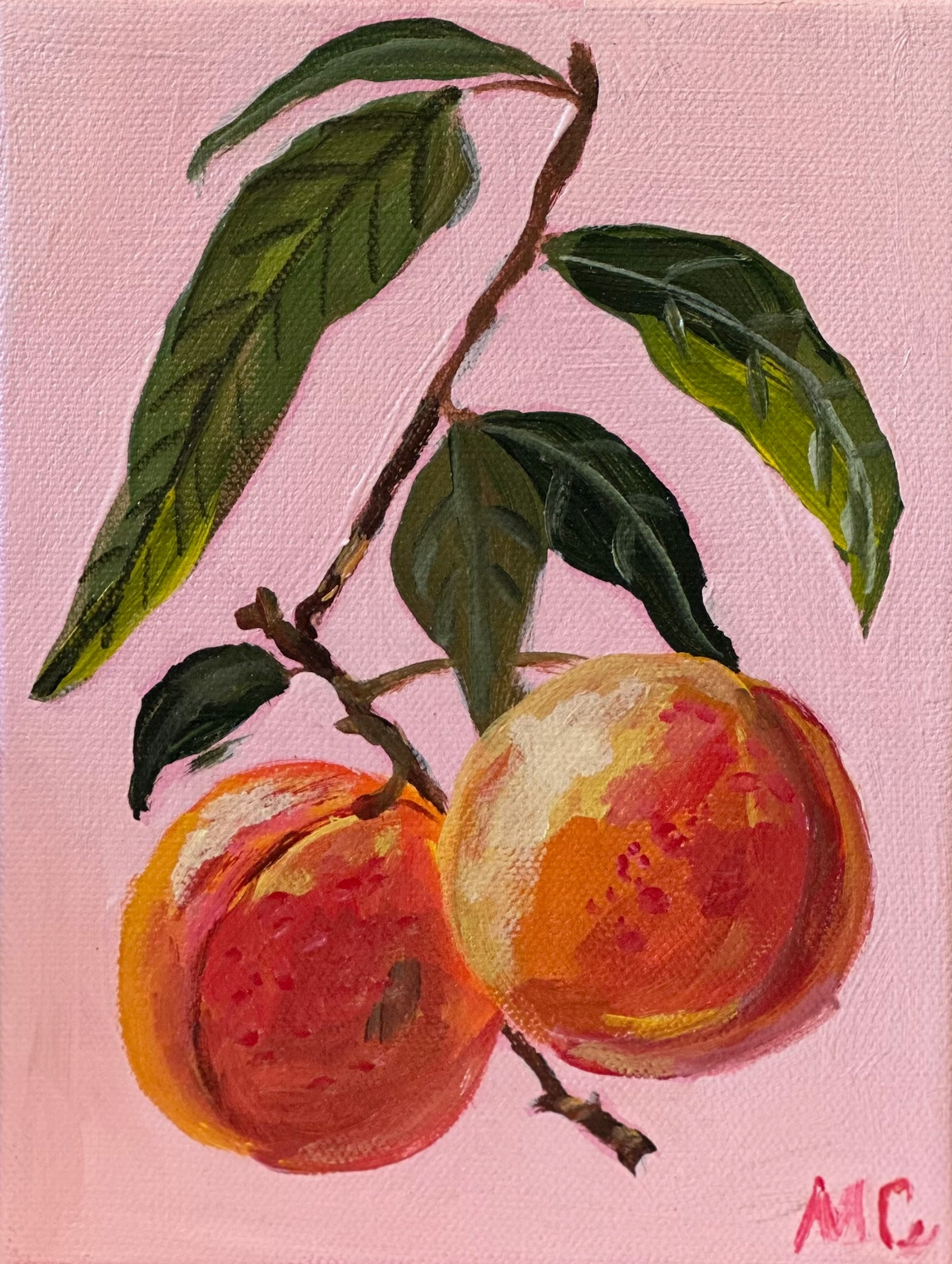 Peaches Post Card