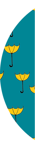 FUNDO GUARDA CHUVAS curva.png