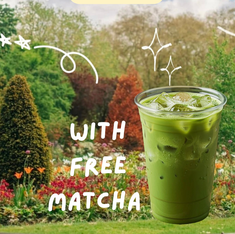 đź§ş Sketching Nature + Picnic Edinburgh