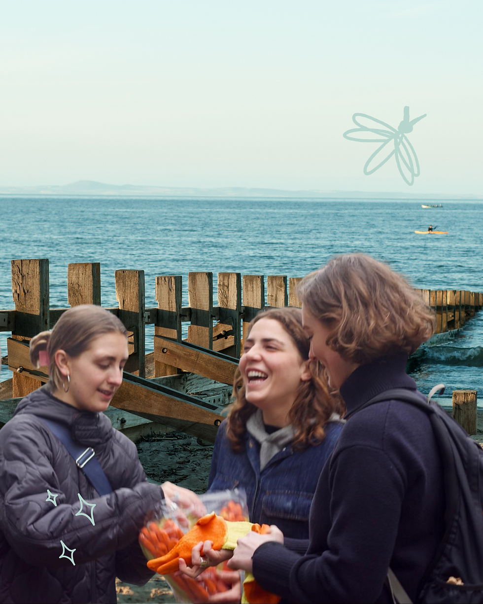 🌊🗑️ Portobello Beach Litter Pick & Social Walk