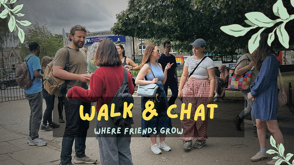 YORK: The Fairy Walk: A Gentle Nature Walk & Connection 🌿