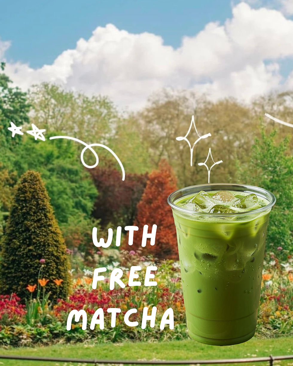 🧺 Sketching Nature + Picnic🌿 Sheffield with free matcha