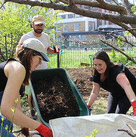 Community City-Scape 