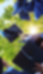 Graduating hats long.png