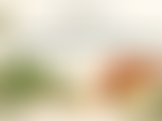 Cannabisblatt, Tabletten und Kapseln neben einer symbolischen Leberdarstellung mit Parmorcan-Logo.