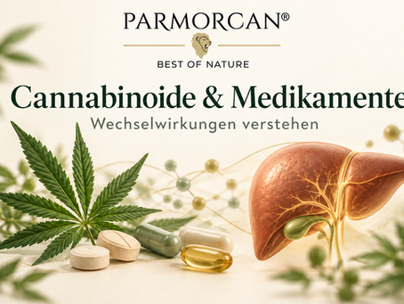 Cannabisblatt, Tabletten und Kapseln neben einer symbolischen Leberdarstellung mit Parmorcan-Logo.