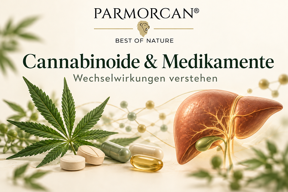 Cannabisblatt, Tabletten und Kapseln neben einer symbolischen Leberdarstellung mit Parmorcan-Logo.