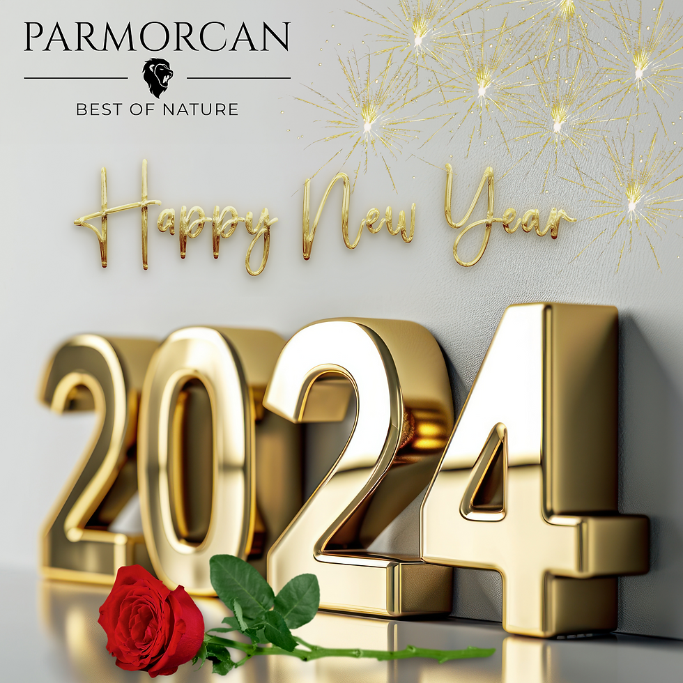 Parmorcan Logo mit einer Rose und Feuerwerk Happy new year 2024