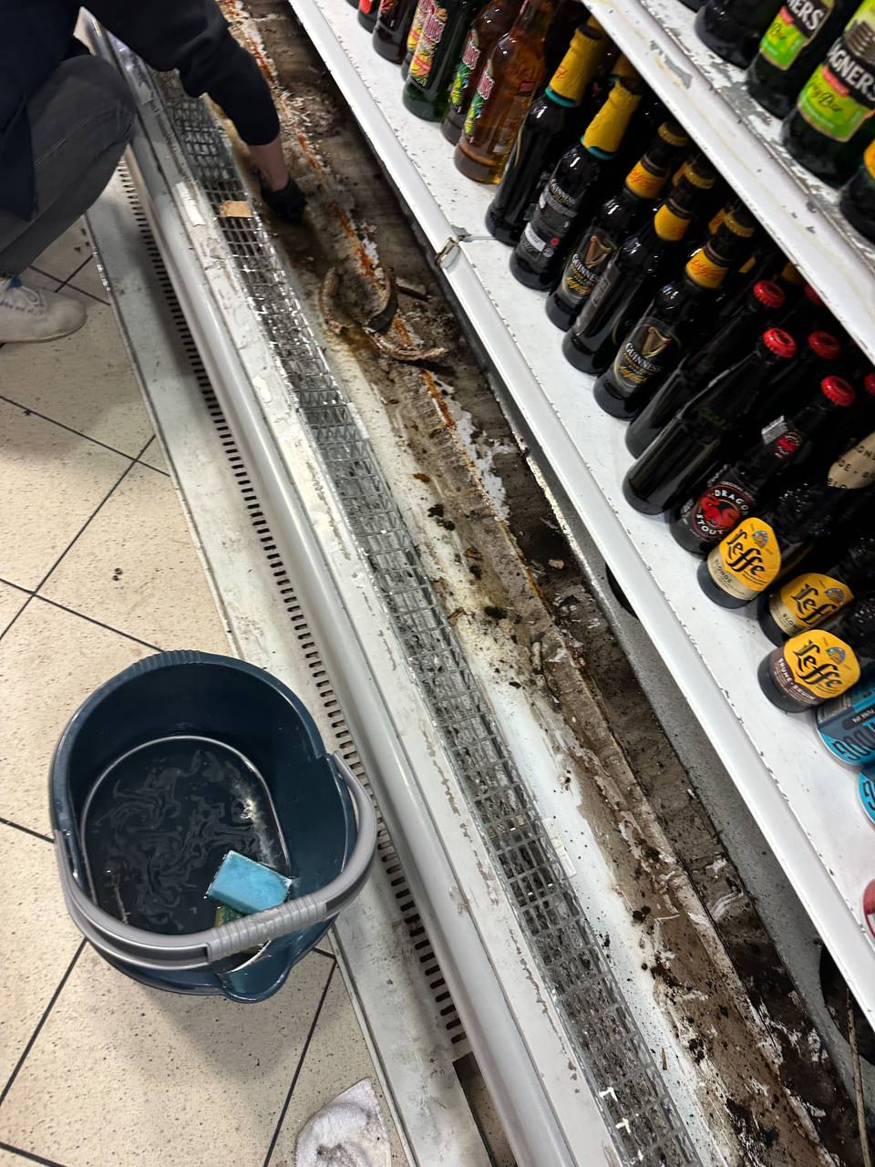 photo_2026-01-22_21-09-25 (3)