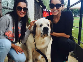 Here’s what happened when Yeh Hai Mohabbatein’s Karan Patel-Anita Hassanandani partied with Rithvik