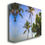 Thumbnail: Plumerias and Palms Hawaii