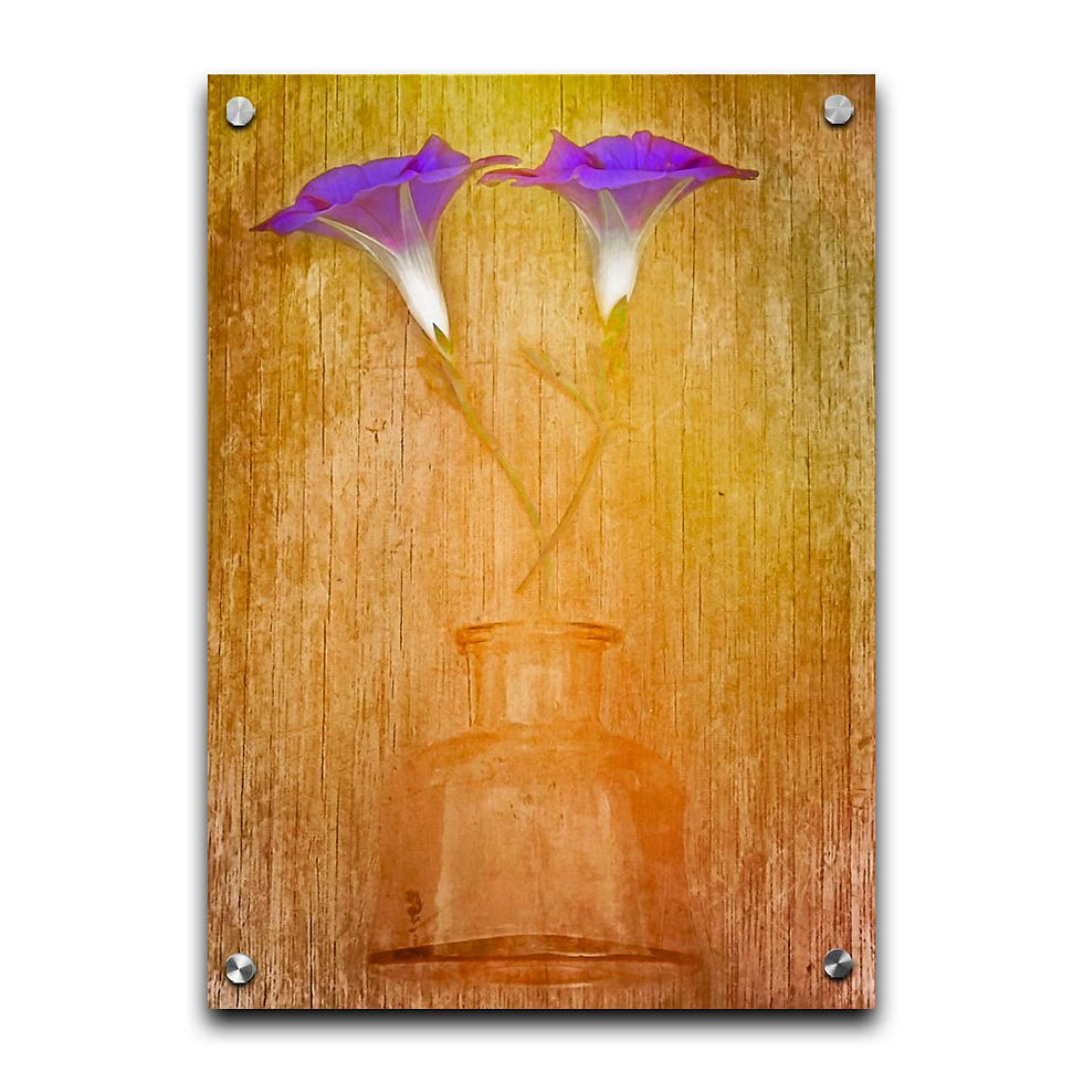 Thumbnail: Message From A Bottle