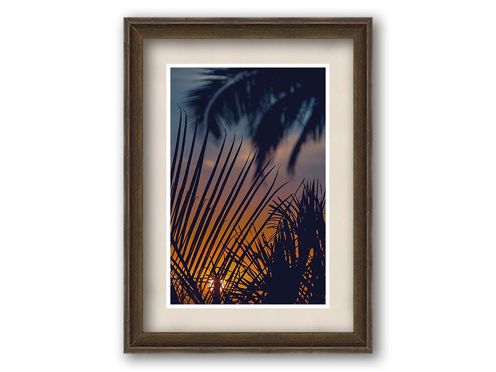 Thumbnail: Somewhere in Paradise - Sunset