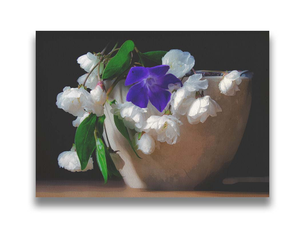 Purple & White In A Pot