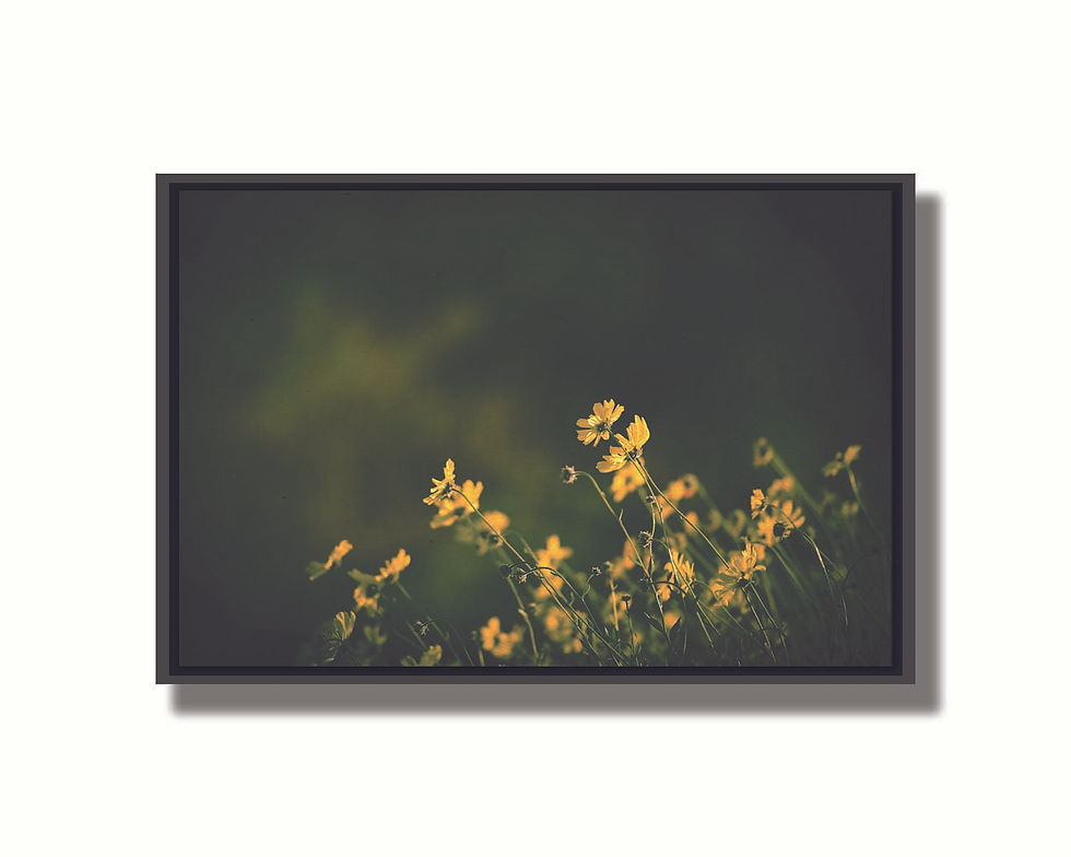 Thumbnail: Wild flowers II