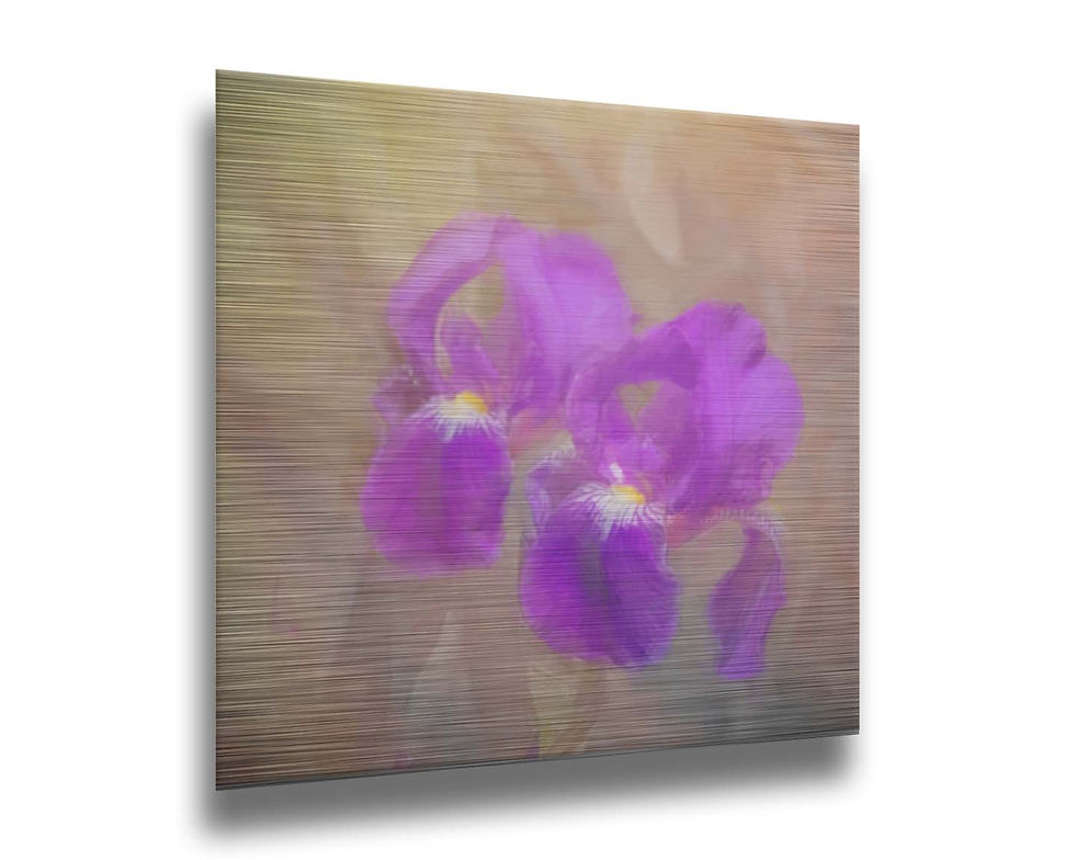 Thumbnail: Painted Iris