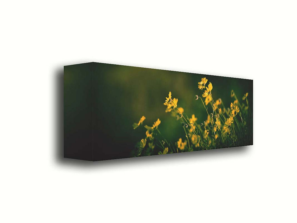 Thumbnail: Wild flowers Panoramic