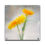 Thumbnail: Tears In My Sunshine