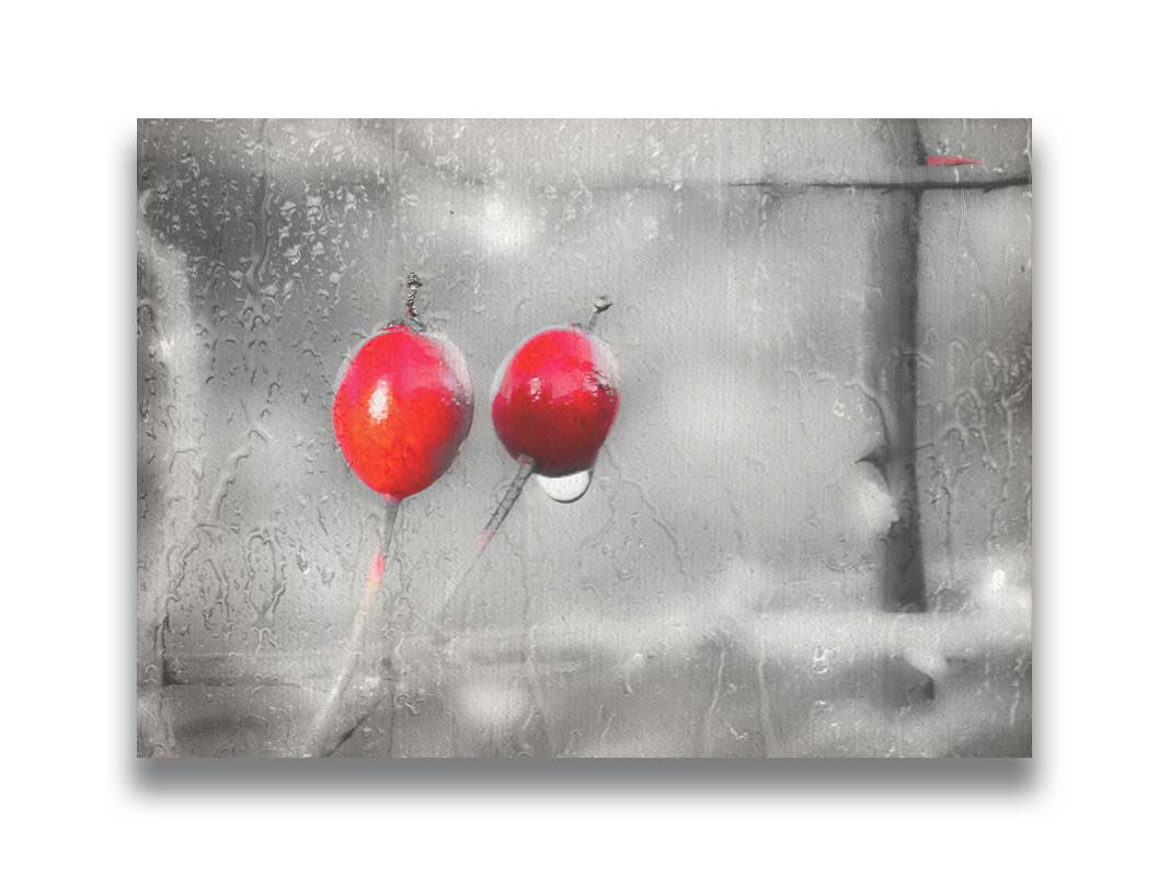 Red Berries on a Rainy Day