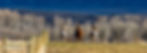 890A1022_edited.jpg