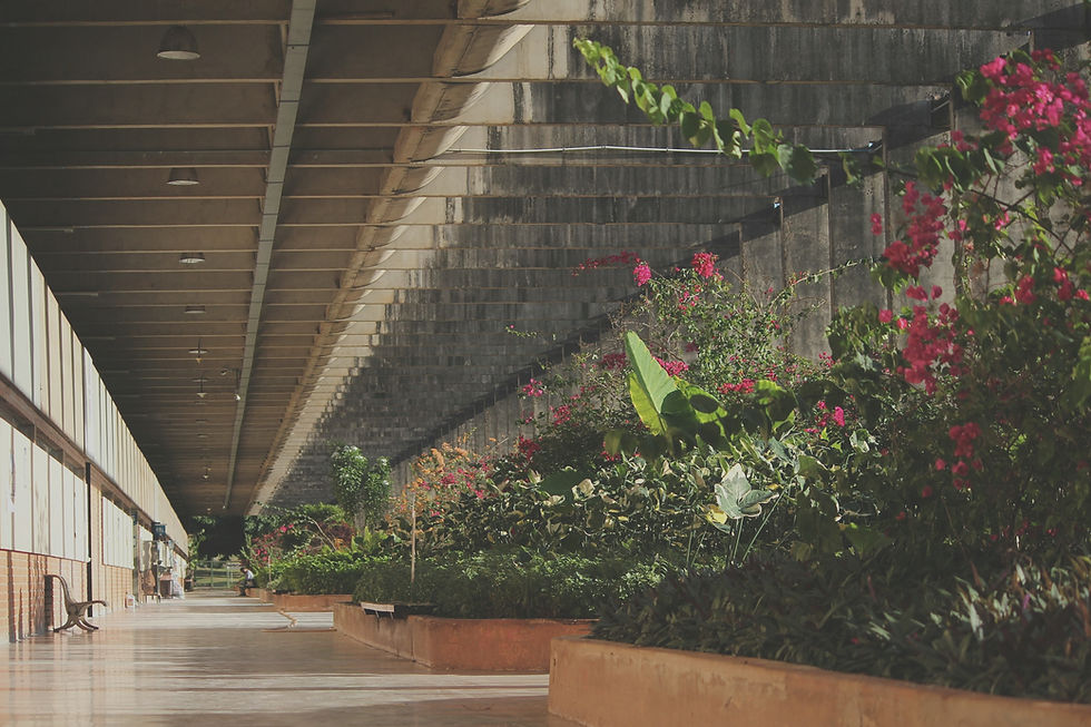 henrique-gushiken-Z_oAziLKRJc-unsplash_edited.jpg