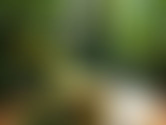 Unlocking the Benefits of Natural Wellness