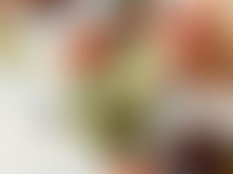 Unlocking the Power of Matcha: Using Superfood Powders for Weight Loss