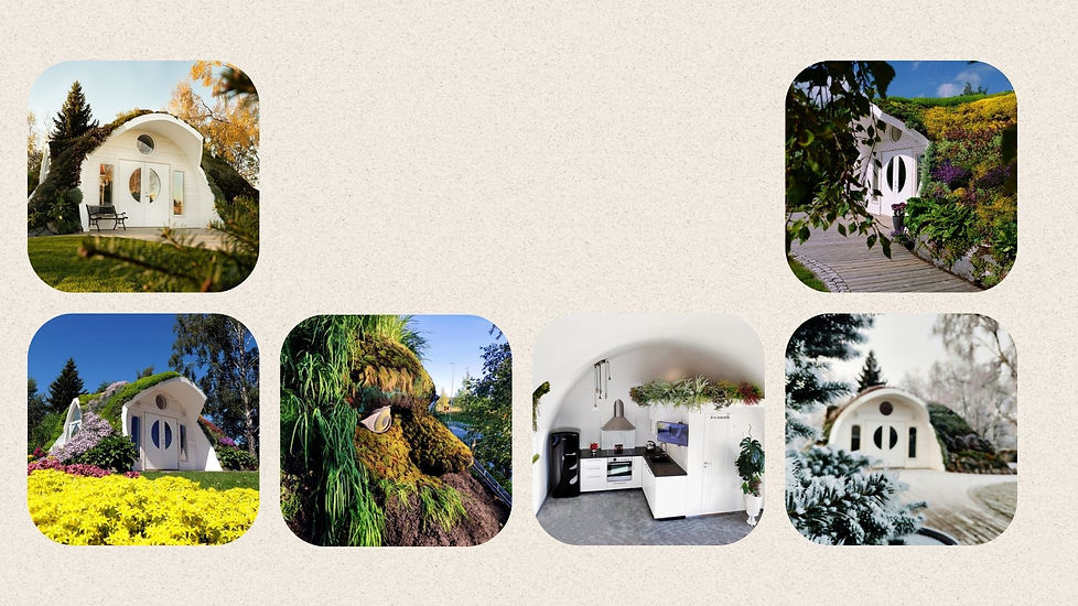 Bilde av noen eksempler av mat innhold laget av en dyktig Inholdsskaper som jobber med UGC, livstil videoer, drone videoer, pro bilder og tekster. Prosjektet involverte utvikling av en landingsside for Green Magic Homes i Norge. Jeg opprettet også bildeinnhold, dronevideoer og tekst for siden, i tillegg til noen oppdateringer av selskapets overordnede nettside. Målet var å presentere Green Magic Homes på en tiltalende måte og vise deres innovative tilnærming til bærekraftig boligbygging. Gjennom mitt design og tekstarbeid, var jeg i stand til å skape en brukervennlig og visuelt engasjerende side som inspirerer potensielle kunder til å lære mer om Green Magic Homes.