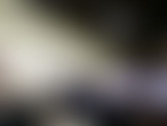 Bené Damasceno (PROS) junto com prefeitos do Acre buscam apoio do governo para manutenção dos ramais