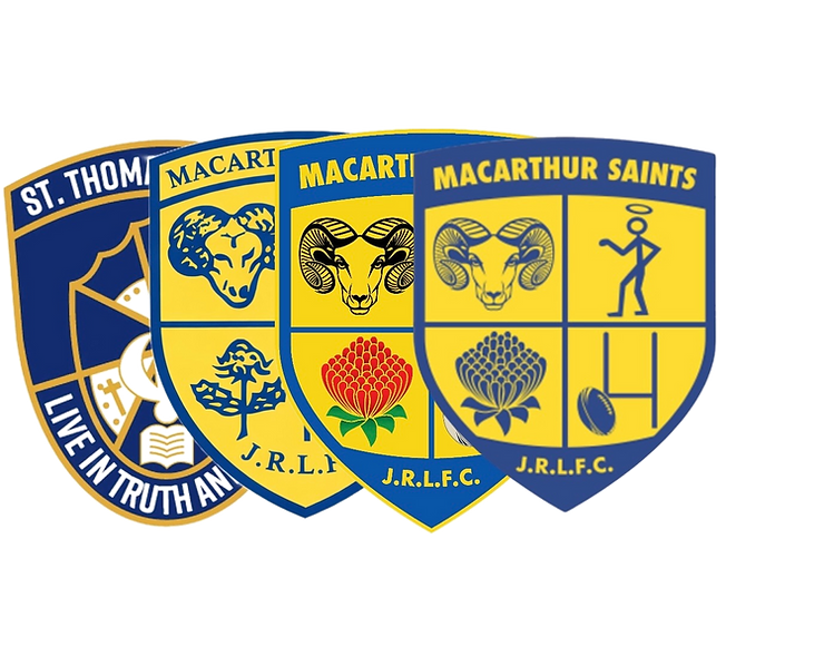 Logo history