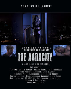 Audacity poster 2