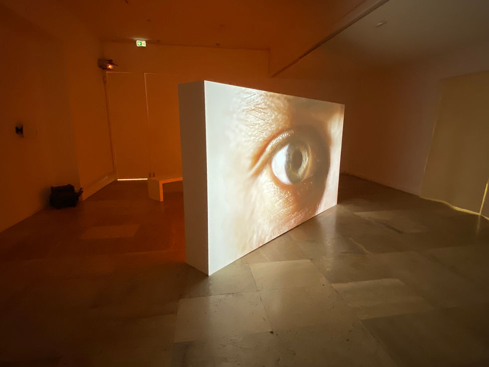 Exposition Musée d'Art Moderne de Paris