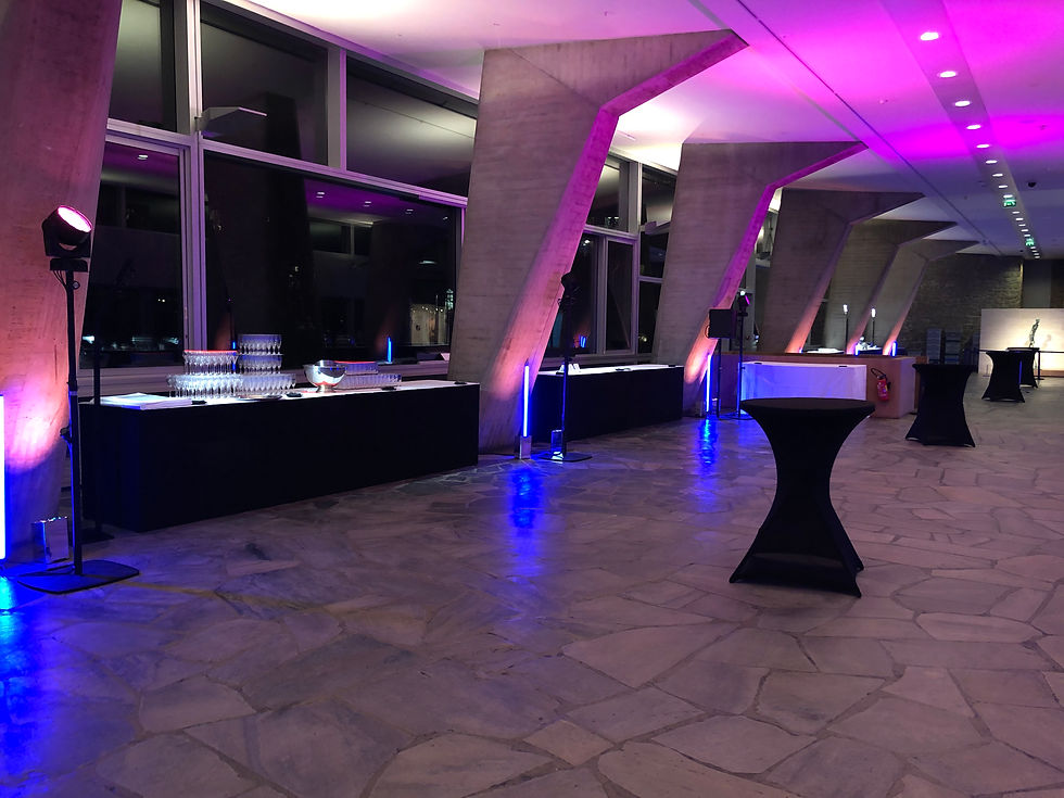 Soirée des voeux Vinci à l'Unesco