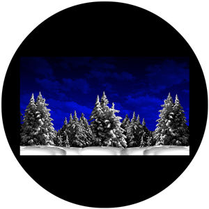 F1197-2c