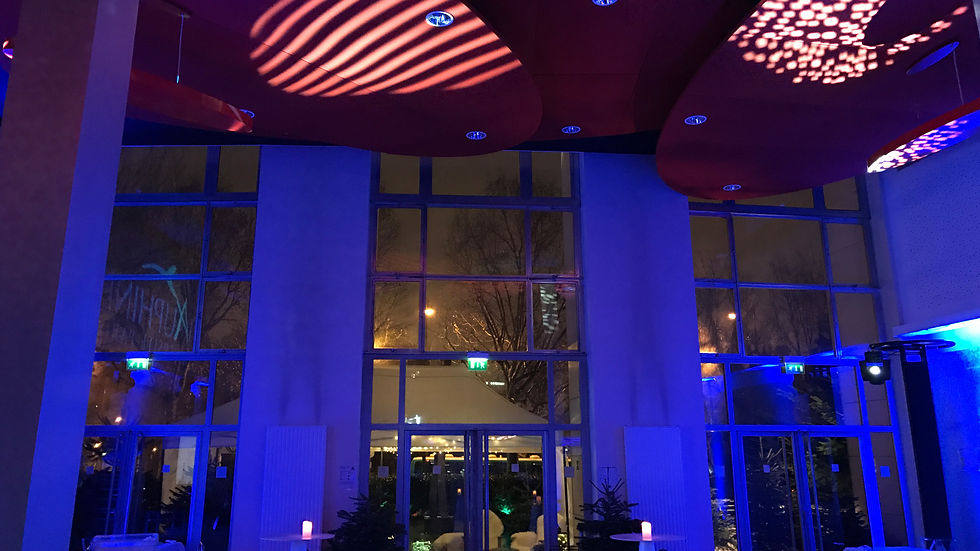 Soirée des Voeux de Dauphine