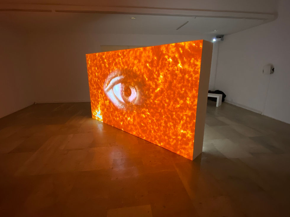 Exposition Musée d'Art Moderne de Paris