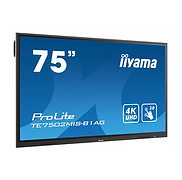 IIYAMA TE7502