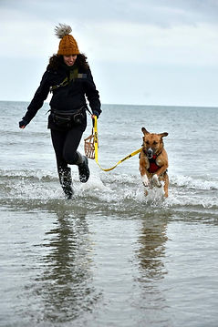 Dog Behaviourist in Woking running through the shoreline with a mixed breed rescue dog.