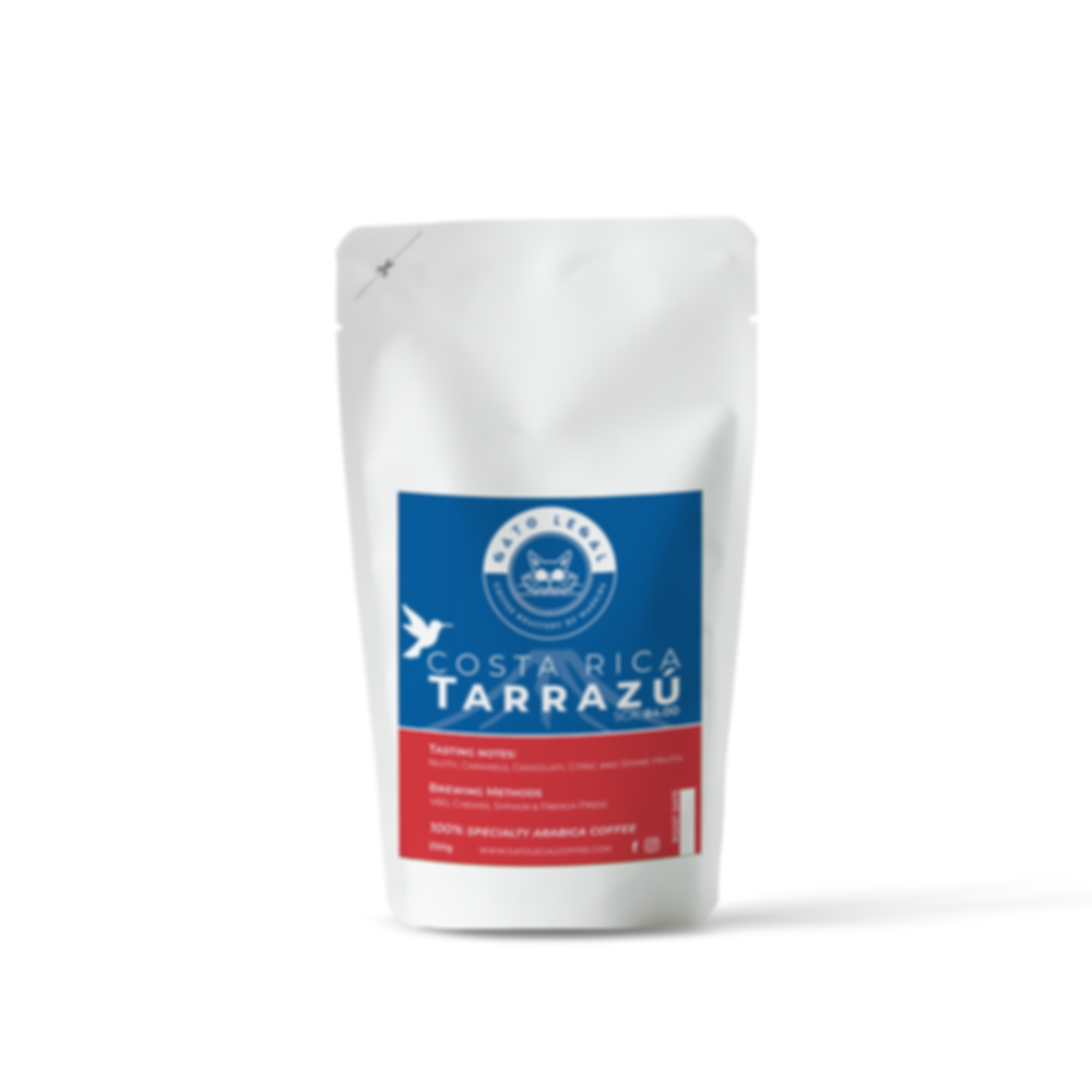 Costa Rica Tarrazú — Gato Legal Coffee Roastery
