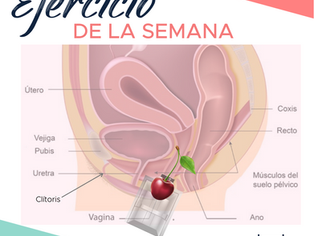 EJERCICIO DE SUELO PÉLVICO: EL ASCENSOR