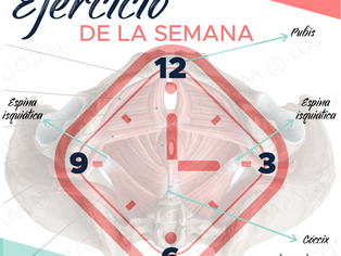 EJERCICIO DE SUELO PÉLVICO: EL RELOJ
