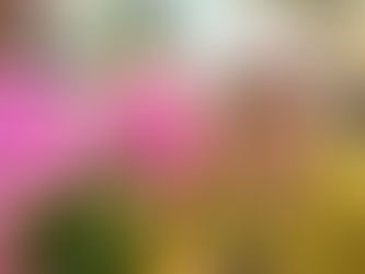 嗅ぐ嗅ぐ嗅ぐ