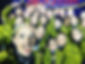2F4009AC-BABB-42C0-8042-78BF7A377BC4.JPG