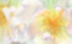 flowers.jpeg