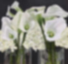 lillies.jpeg