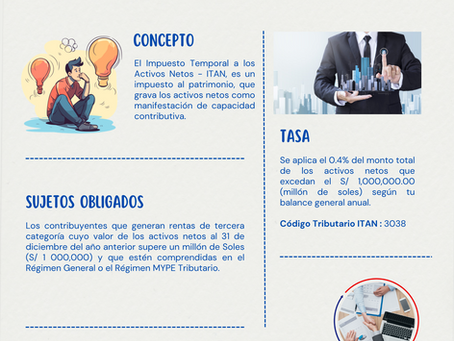 Impuesto Temporal a los Activos Netos