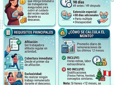 Subsidio por maternidad